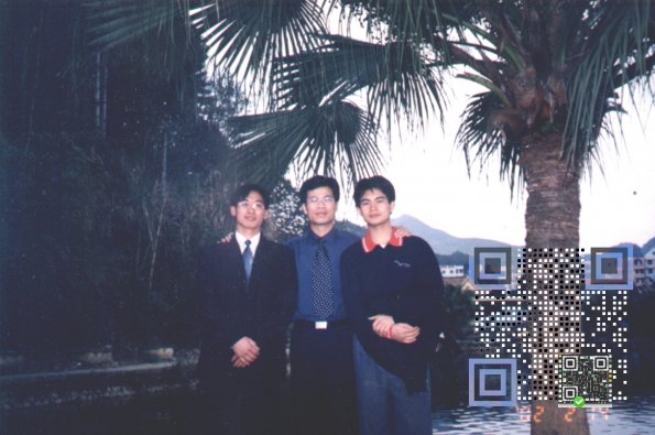 triangle.2wm