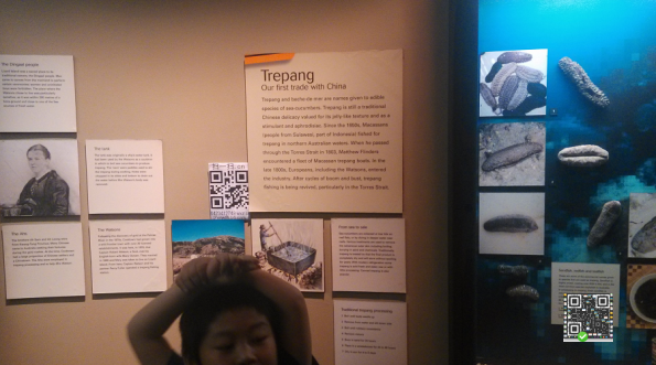 900-500-QLD Museum